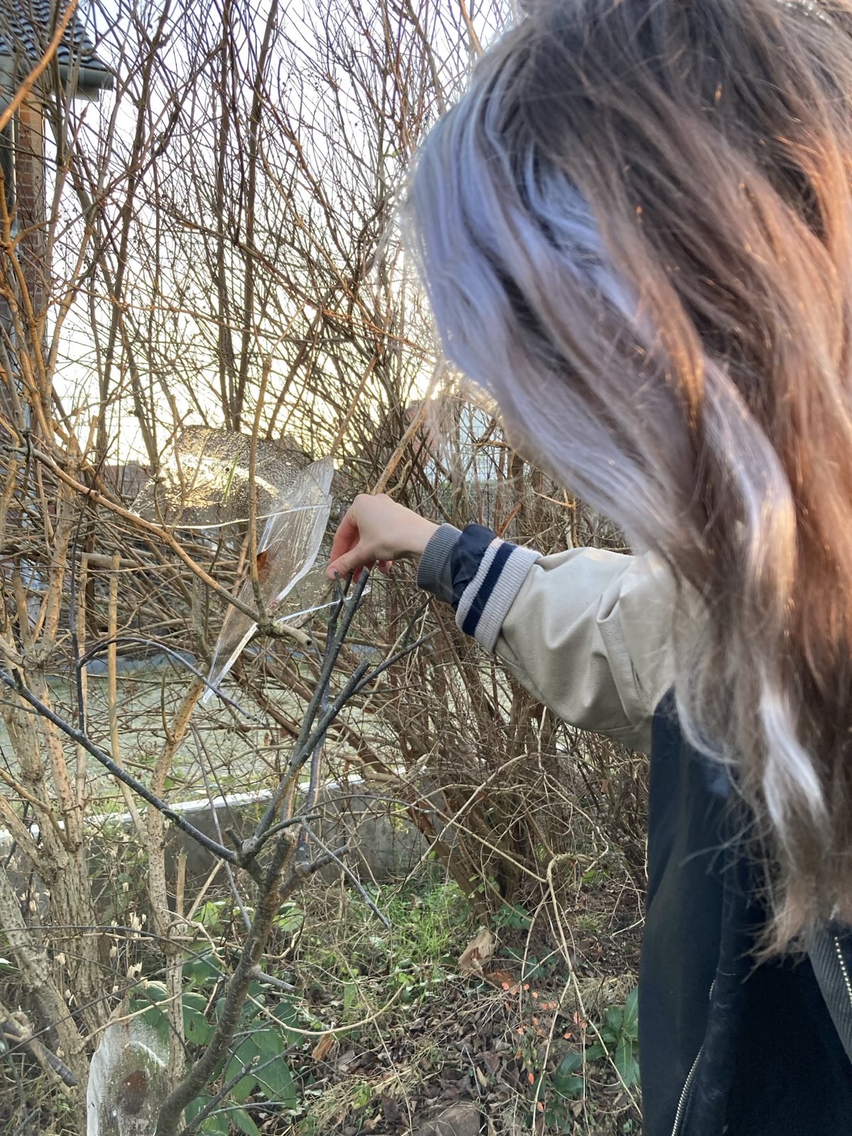 Foto von einer Person die eine Eisplatte mit eingefrorenem Laub arrangiert Anna Hielscher Harmlose Kunst