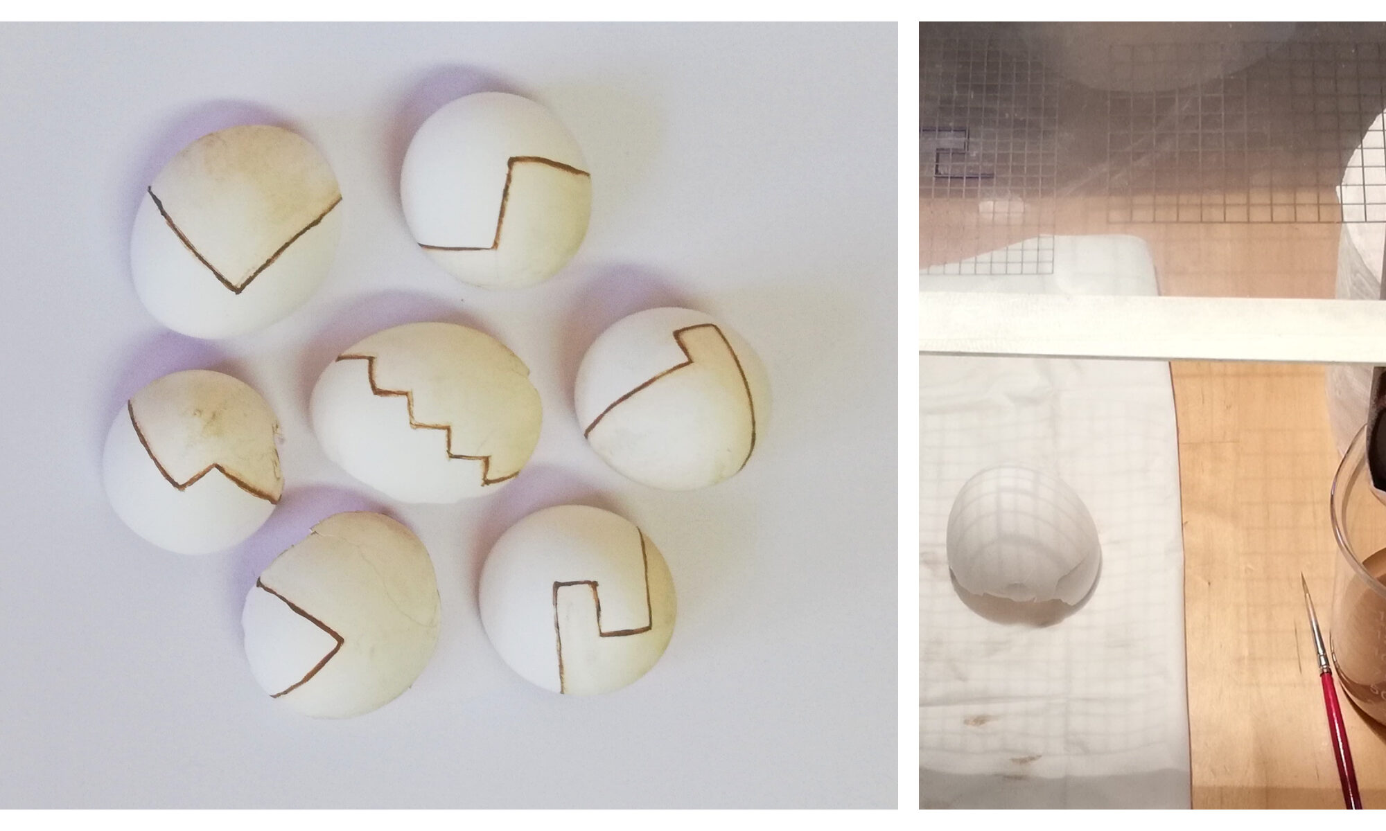Foto von bemalten Eierschalten, daneben ein Foto vom Malprozess. Hamrlose Kunst Anna Hielscher tEIlung