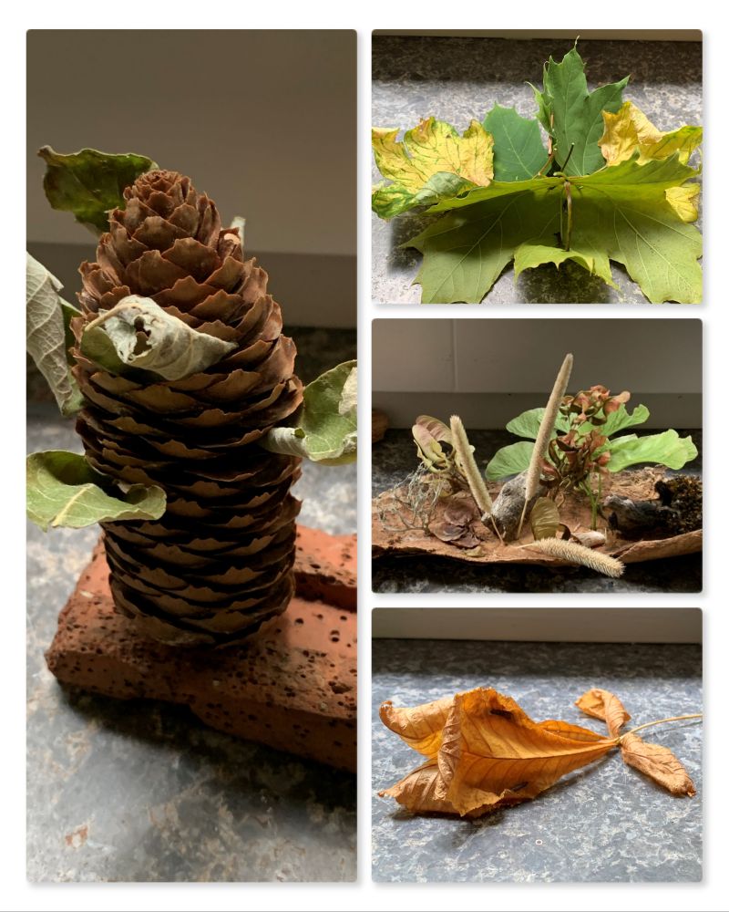 Collage mit Arbeiten aus dem Workshop Bergwaldprojekt. Harmlose Kunst