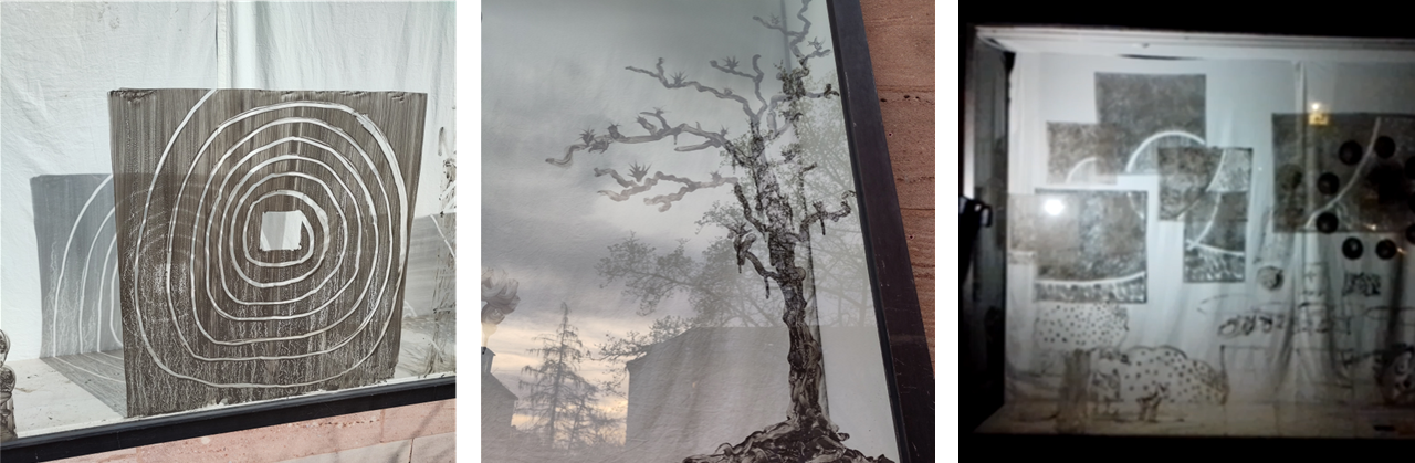 Foto vom bemalten Schaufenster in verschiedenen Lichtverhältnissen. Anna Hielscher Harmlose kunst