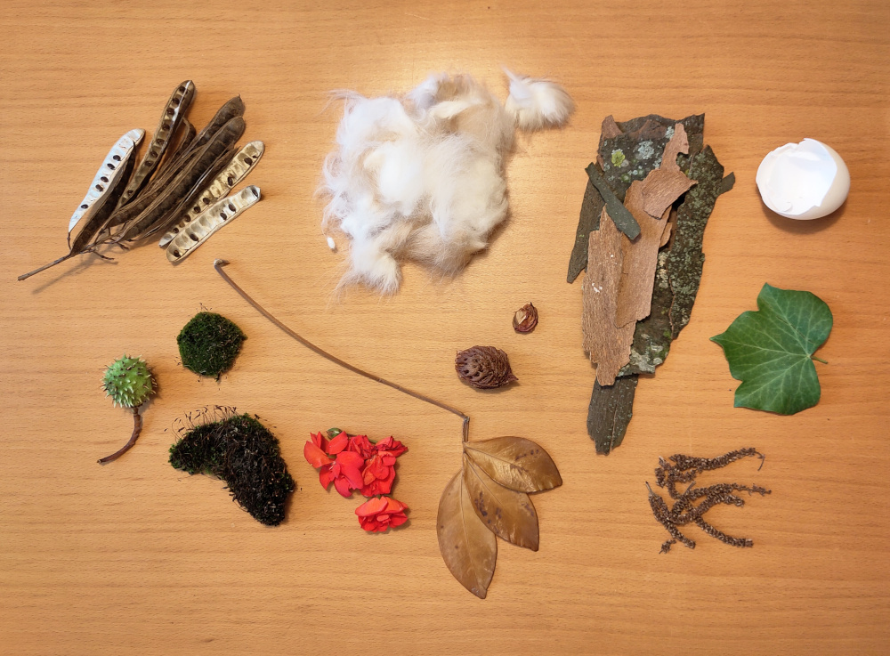 Foto von verschiedenen Naturmaterialien: Blätter, Katzenhaare, Rinde, Eierschale, Kastanie, Moos, Samen, Blüten. Anna Hielscher Harmlose Kunst