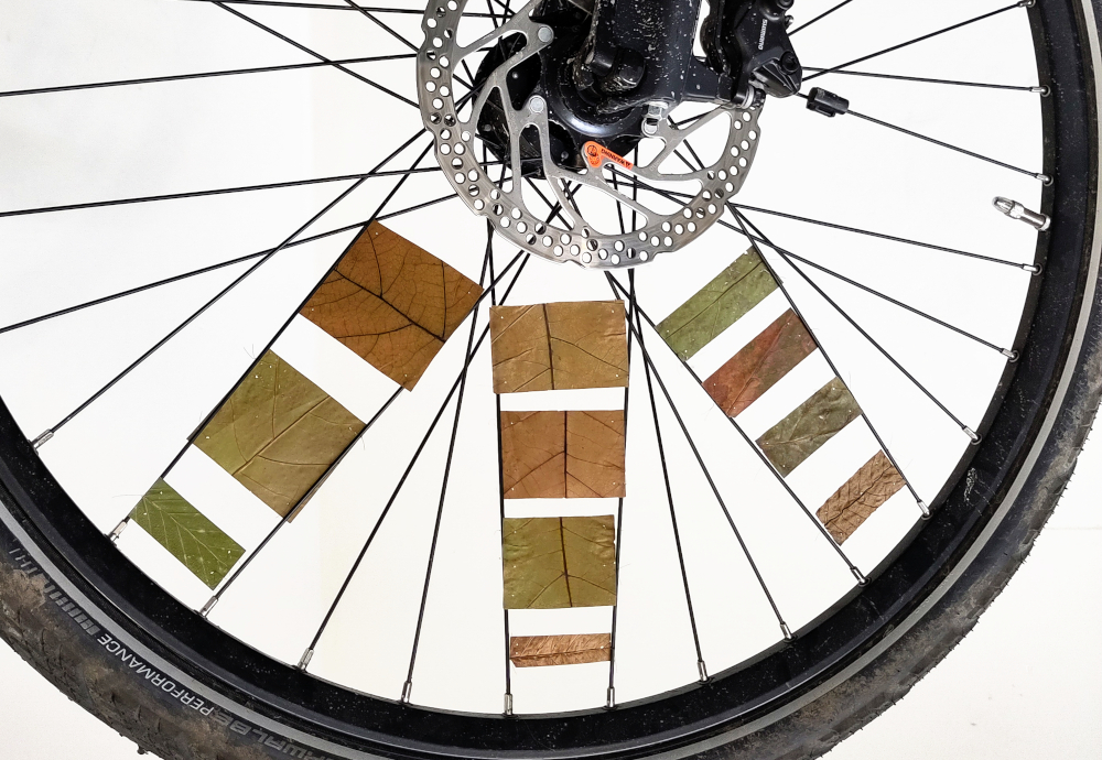 Foto von Fahrrad mit Laubstücken zwischen den Speichen. Harmlose Kunst Anna Hielscher