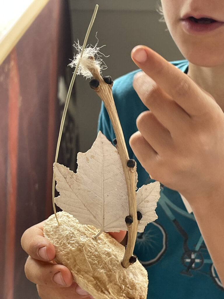 Kind, das ein Naturkunstwerk hochhält Anna Hielscher Harmlose Kunst