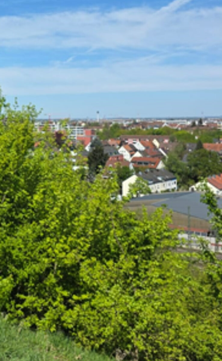Blick über Nürnberg Harmlose Kunst