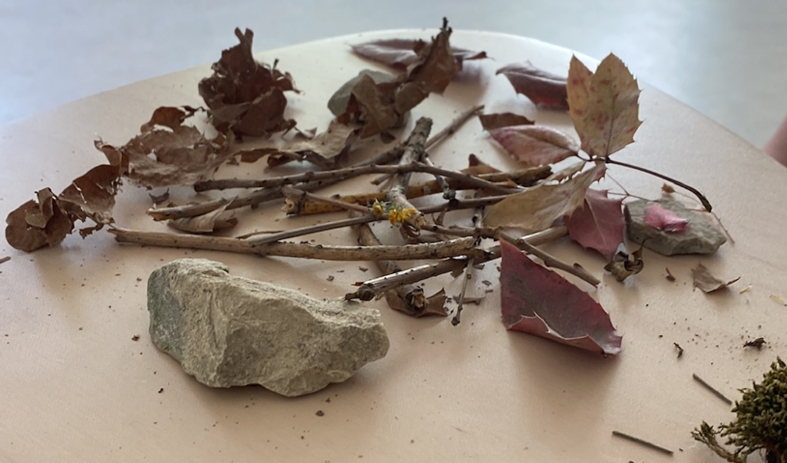 Ein Lagerfeuer, gebaut aus Naturmaterialien Harmlose Kunst